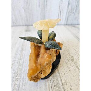 Calcite crystal mushroom plant rock unique agate